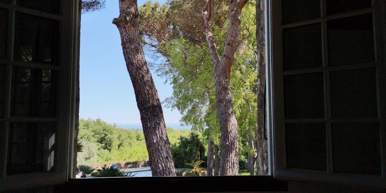 Villa Mas Senyarich à Argelès-sur-Mer Extérieur photo