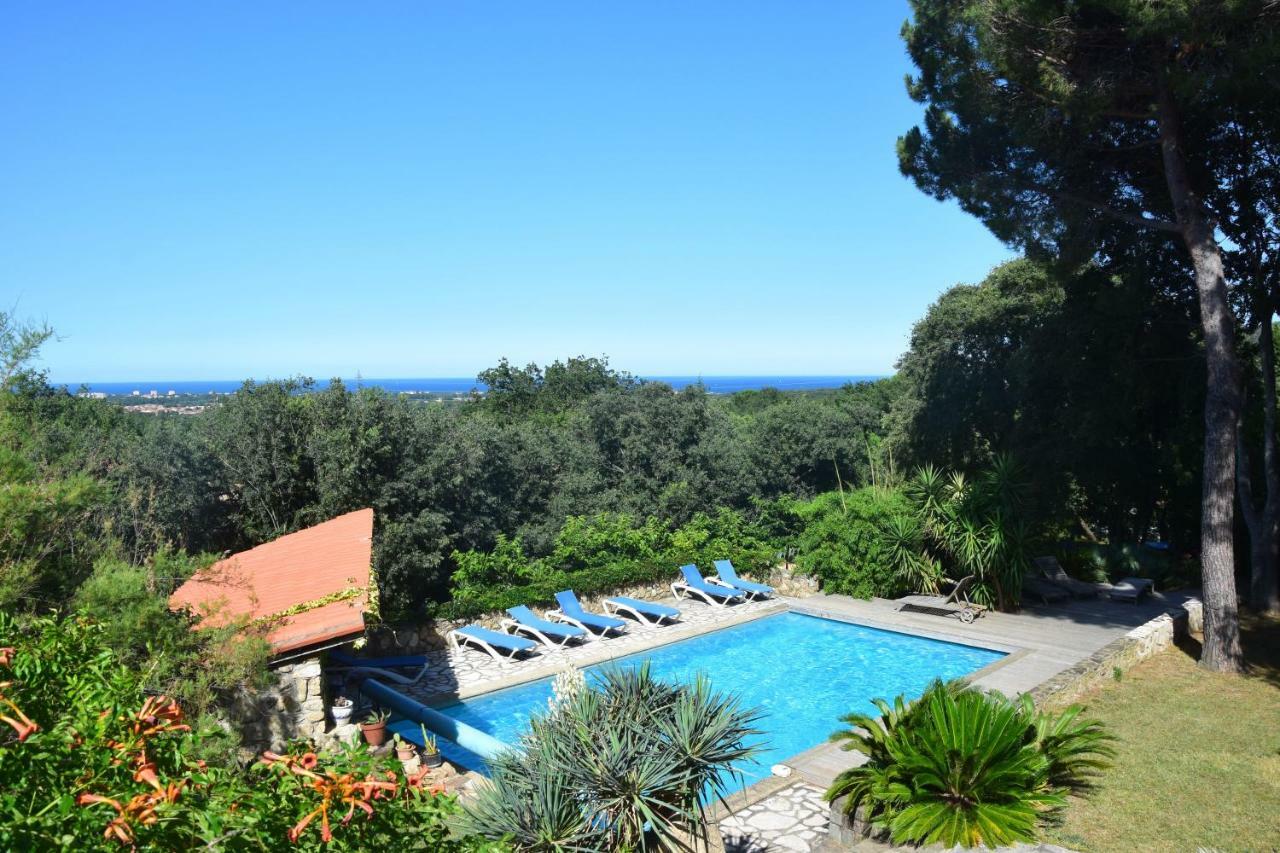 Villa Mas Senyarich à Argelès-sur-Mer Extérieur photo